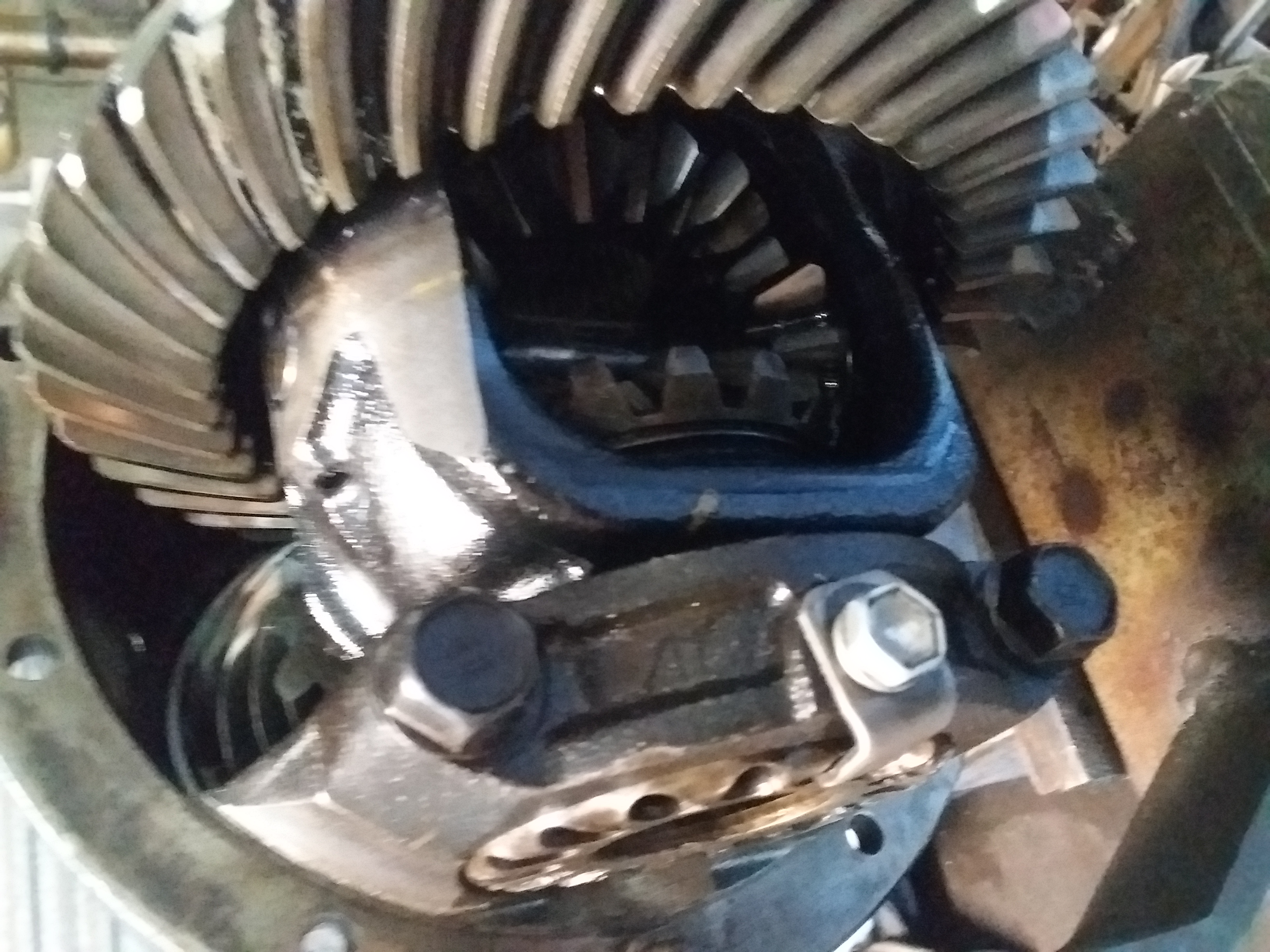 Bearing Worx picture