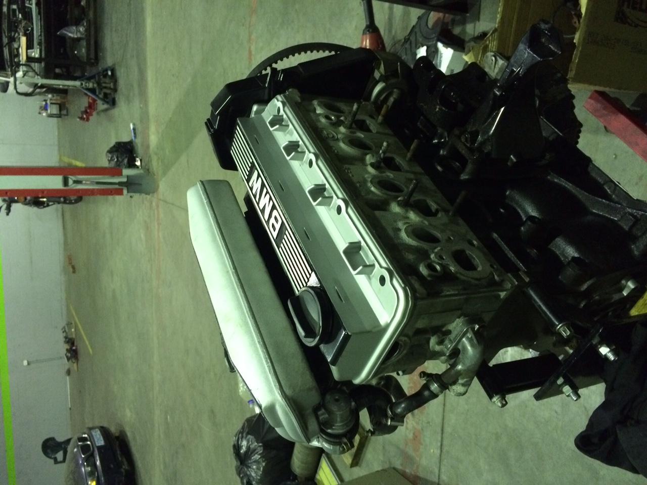 Bosch Car Service Montegue Gardens picture