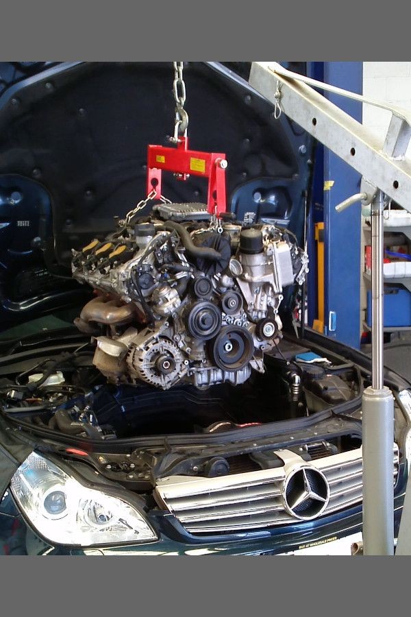 Lastroalpicinos workshop picture