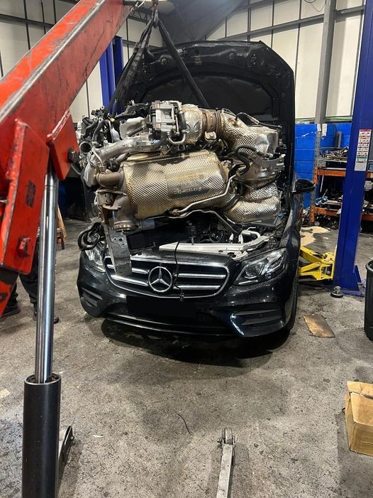 Lastroalpicinos workshop photo 3090