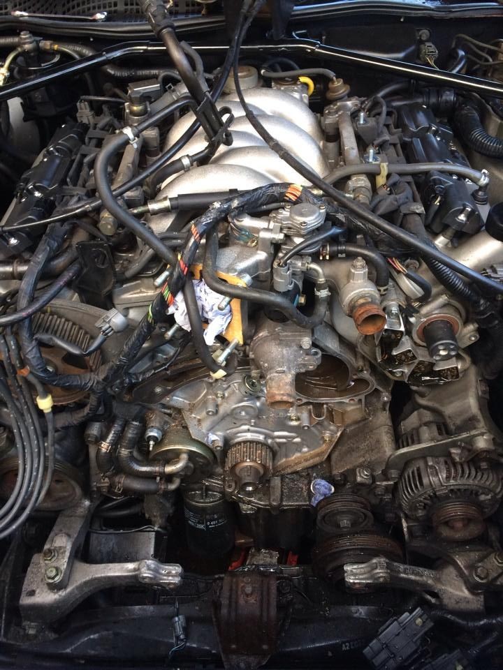 Lastroalpicinos workshop picture