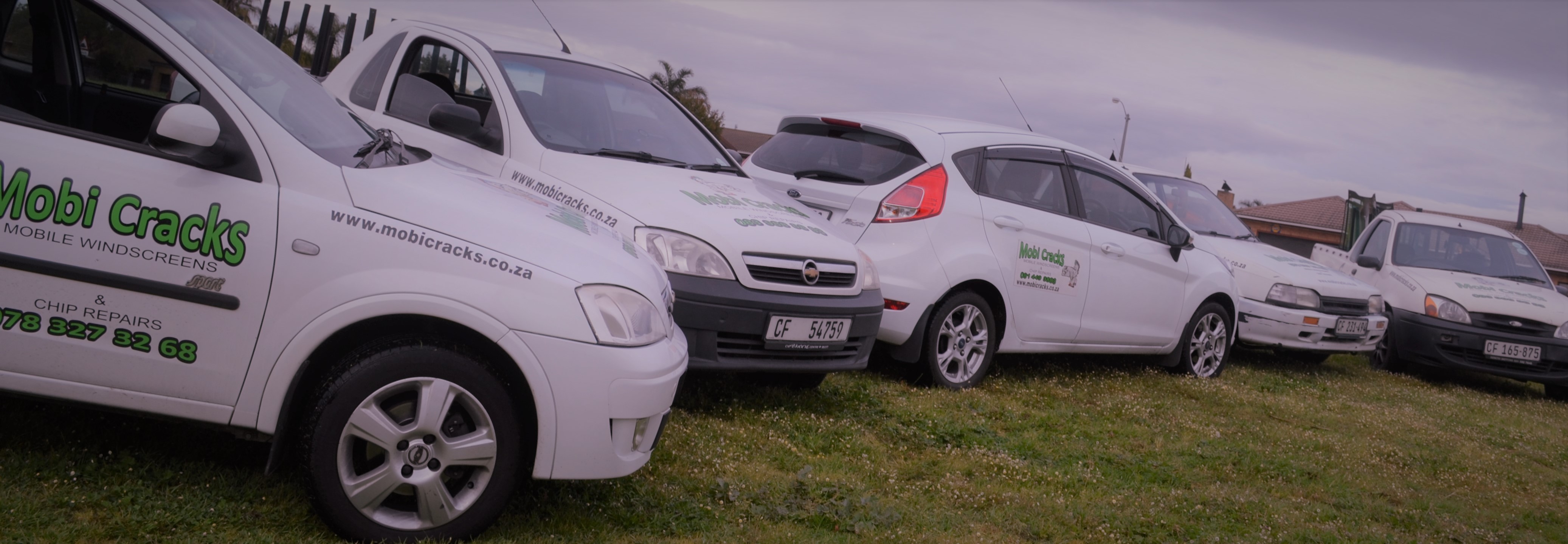 Mobi Cracks (Pty)Ltd picture