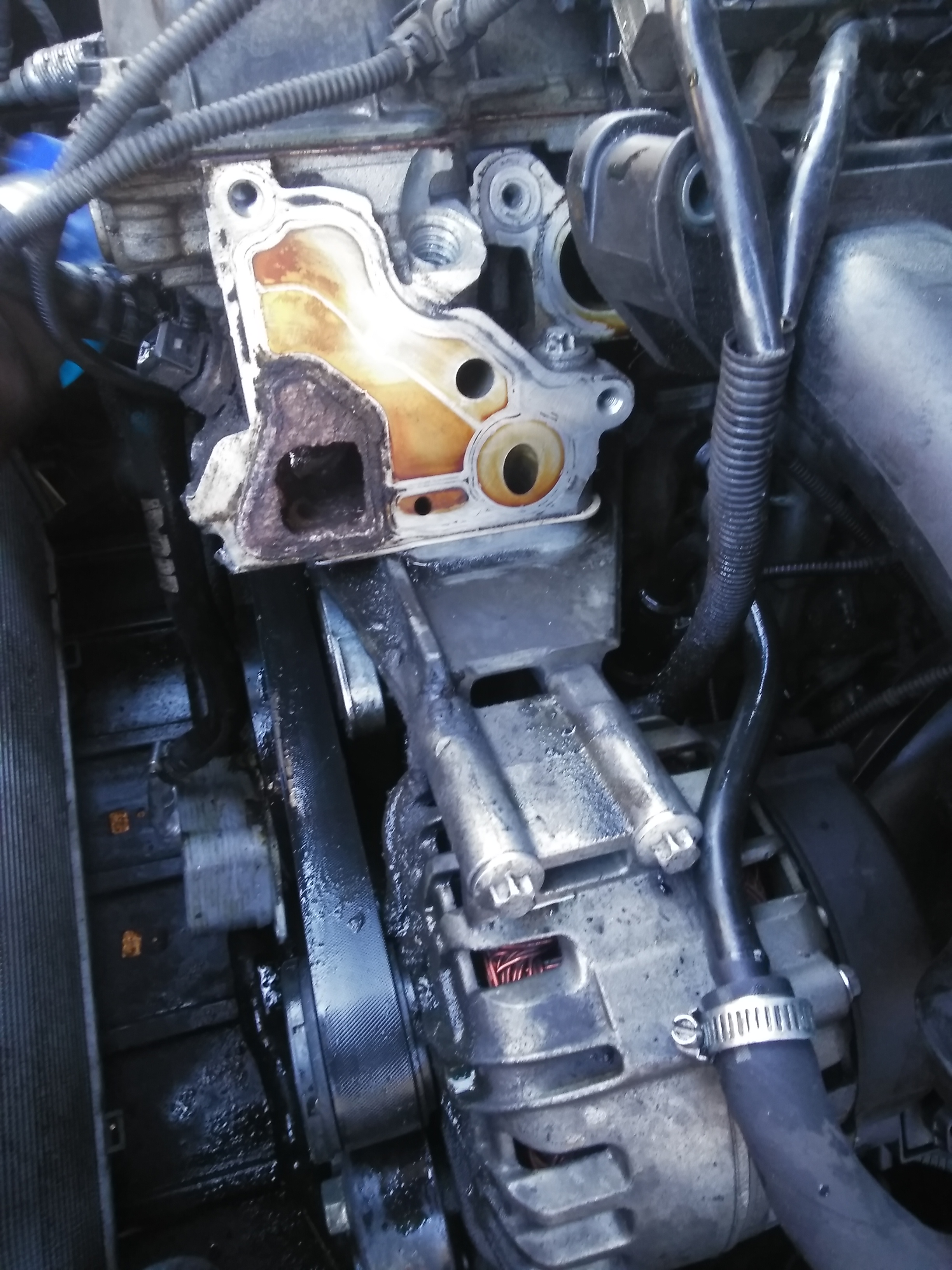 Nemavu BMW Repair Workshop picture