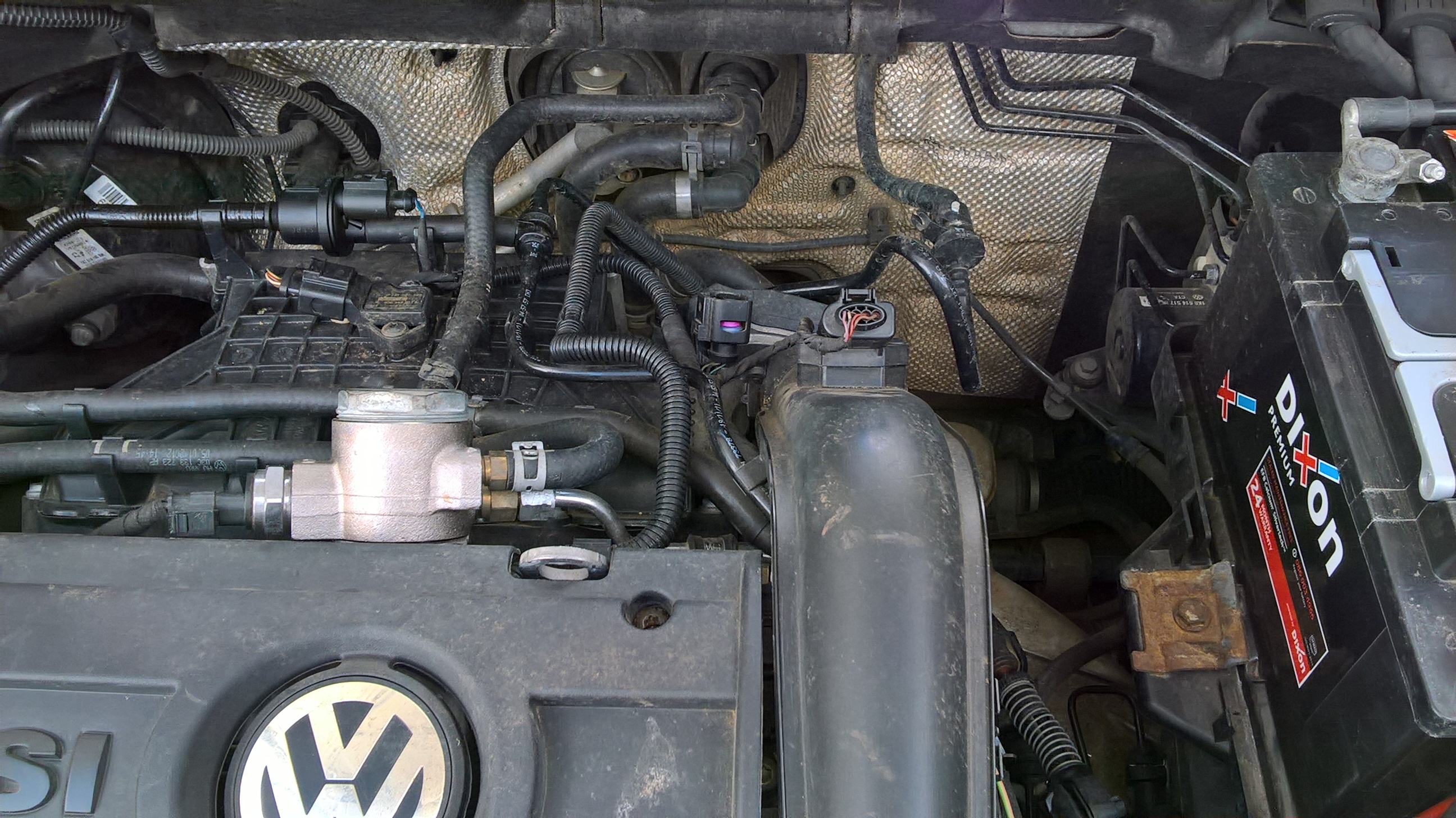 Rzarecters cc photo 1522