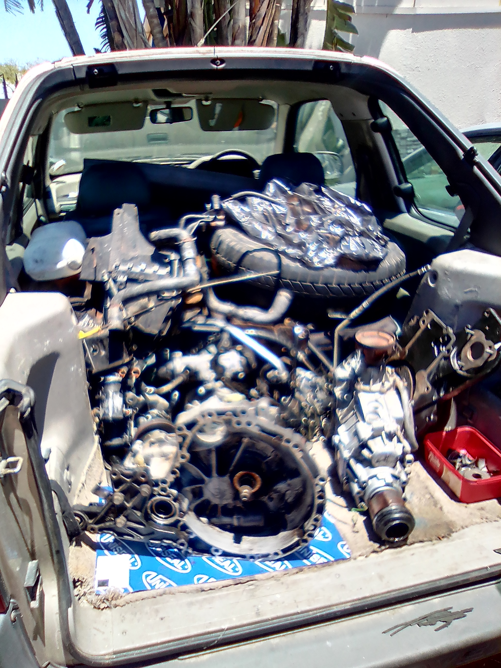 The Sprinter Guy photo 1490